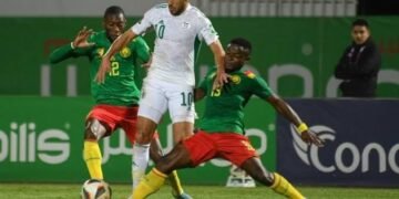 MONDIAL 2026 : voici pourquoi les Lions Indomptables et les Camerounais regardent  la compétition à la télévision