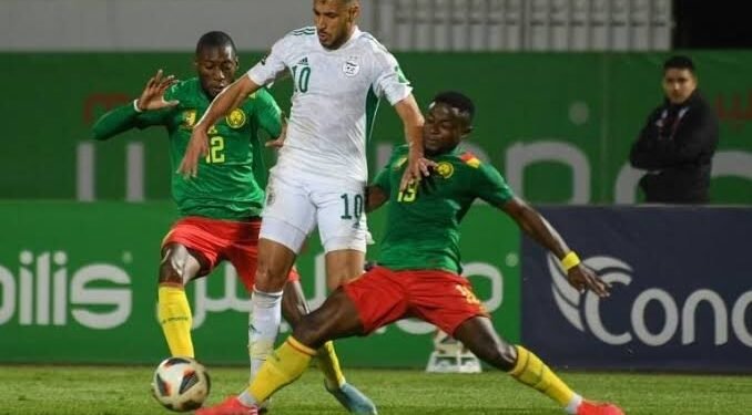 MONDIAL 2026 : voici pourquoi les Lions Indomptables et les Camerounais regardent  la compétition à la télévision